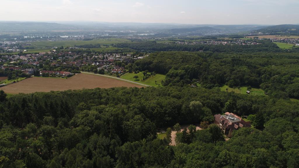 Hotel Bb Haus Neugebauer Garni Geisenheim Zewnętrze zdjęcie